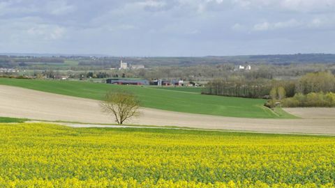 Que cache l’agrandissement des exploitations ? Que cache l’agrandissement des exploitations ?