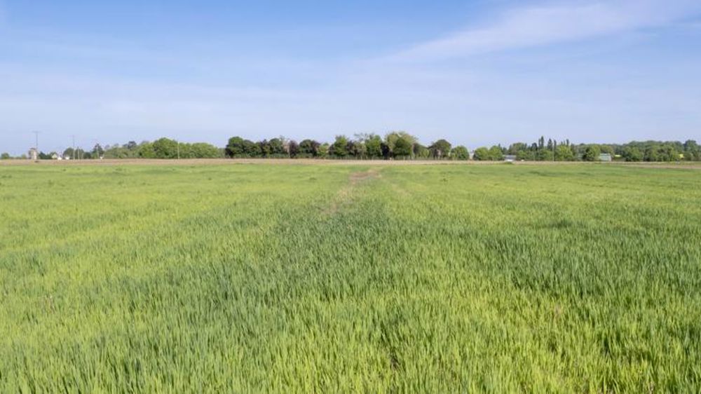 La météo joue des tours aux cultures
