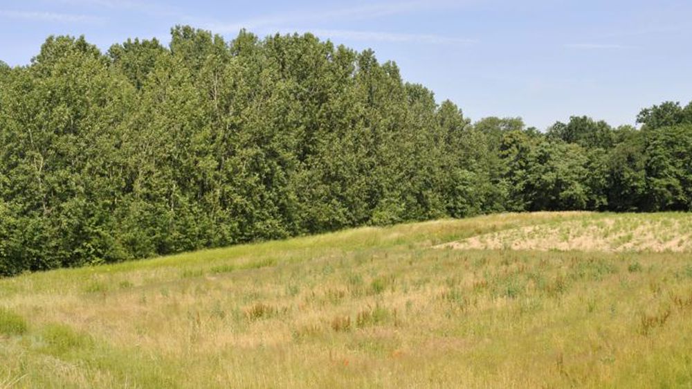 La CR demande l’autorisation de faucher les jachères 