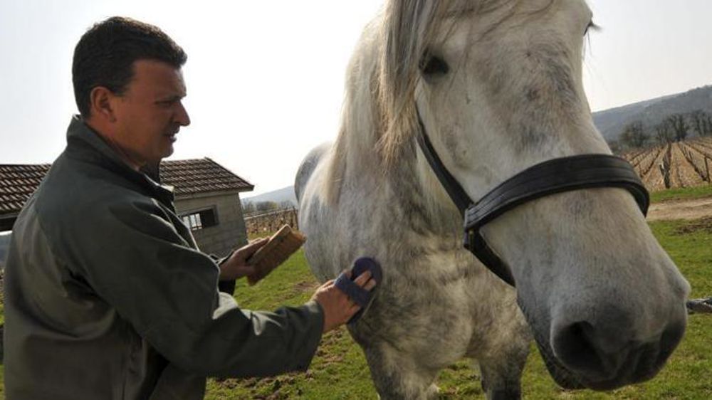 © J.-C. Grelier/GFA