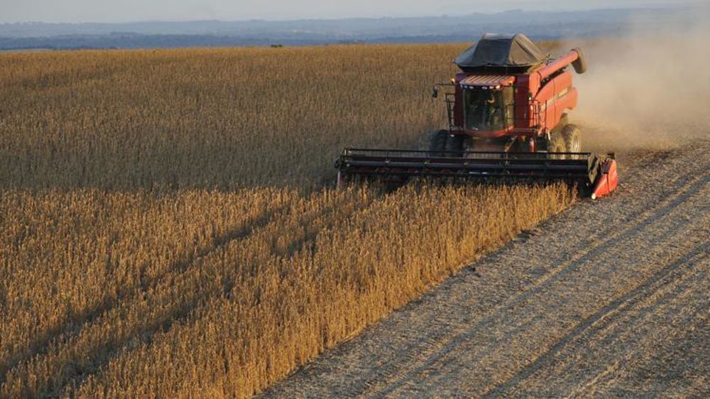 Récolte record de céréales et de soja en vue