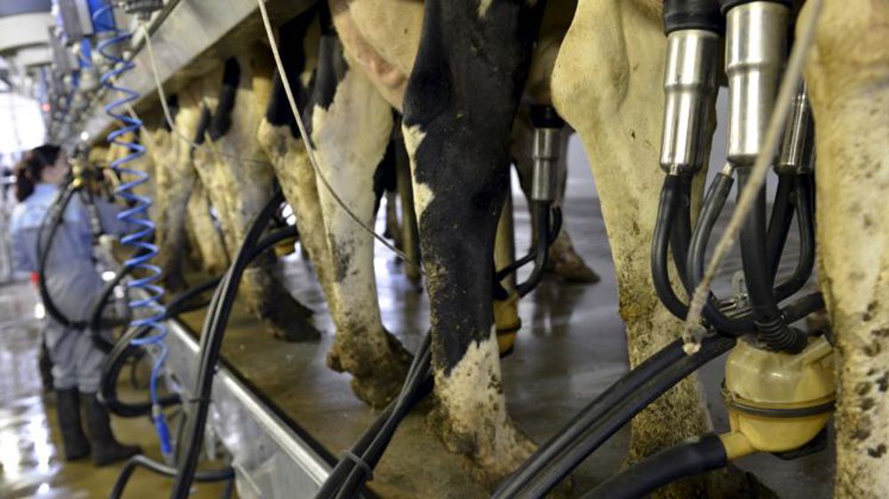 Les coopératives veulent revaloriser les PGC