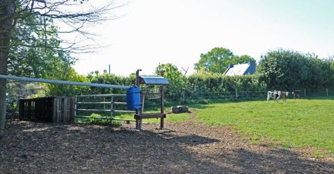 Les veaux sont logés dans un parc avec une cabane en bois. © I. Lejas