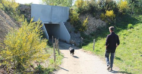 Le boviduc fait 12 m de longueur sur 2,5 m de largeur et 2 m de hauteur. © I. Lejas