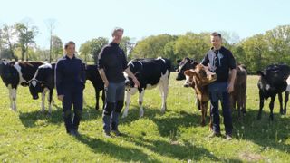 Lait : ils misent tout sur l’herbe Lait : ils misent tout sur l’herbe