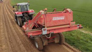 « Le tamisage nous offre une butte plus propre » « Le tamisage nous offre une butte plus propre »