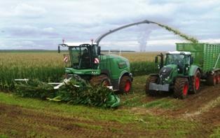 Ensileuse Fendt Katana sur un chantier d'ensilage de maïs