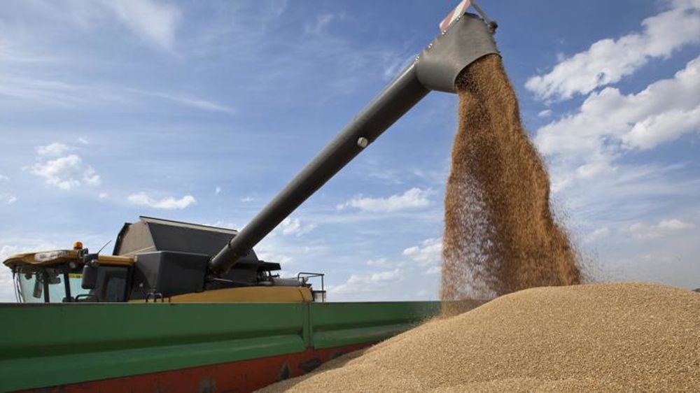 La FAO revoit la production mondiale à la hausse