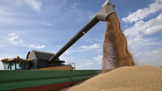 La FAO revoit la production mondiale à la hausse La FAO revoit la production mondiale à la hausse