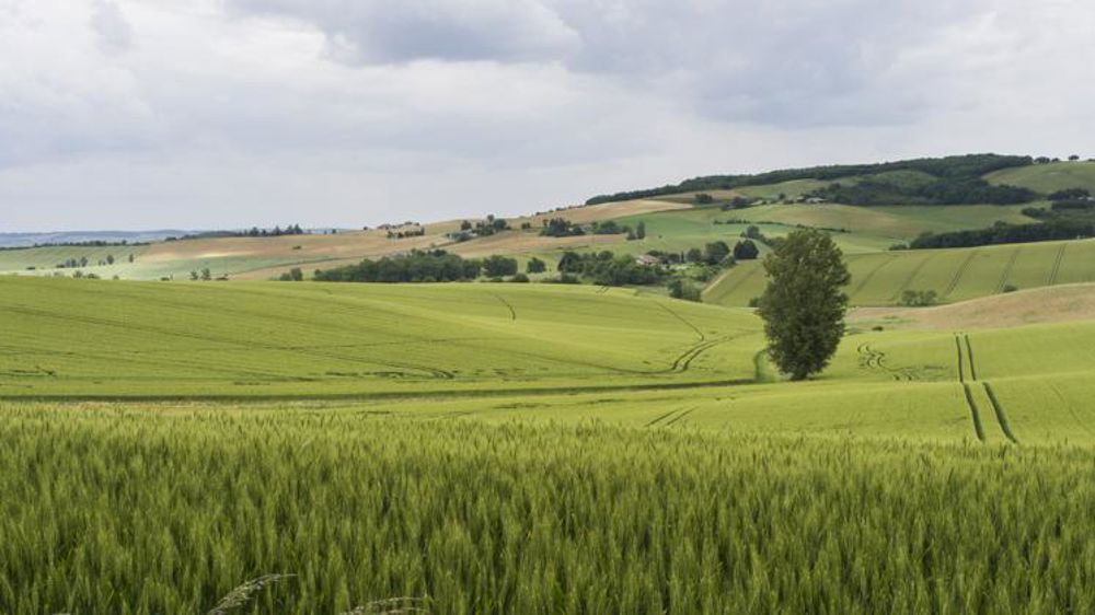 L’agroécologie plébiscitée par « la Nation »