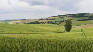 L’agroécologie plébiscitée par « la Nation » L’agroécologie plébiscitée par « la Nation »