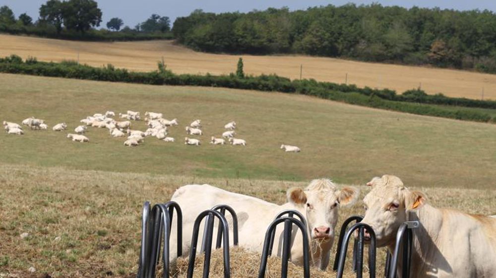 Davantage d’impartialité pour évaluer les pertes