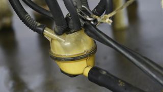 Et si le prix du lait se stabilisait Et si le prix du lait se stabilisait