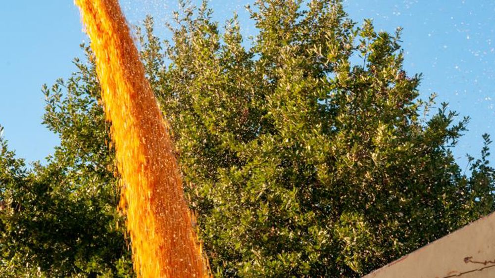 La production mondiale de céréales en baisse