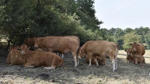 La sécheresse précoce inquiète le monde agricole La sécheresse précoce inquiète le monde agricole