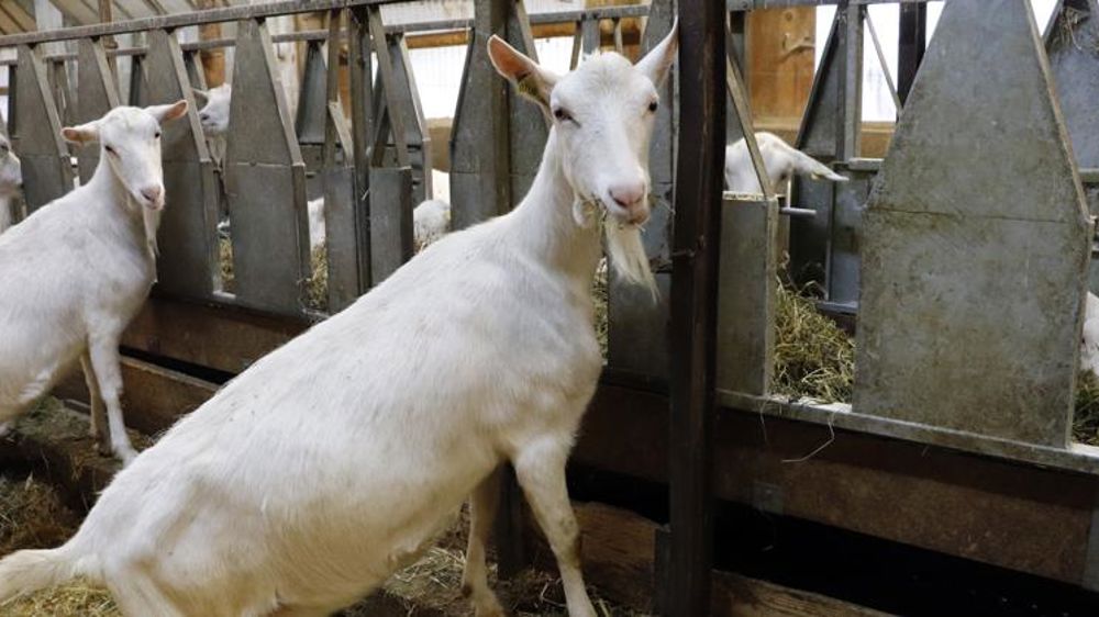 Un prix « insuffisant » face à la hausse des charges