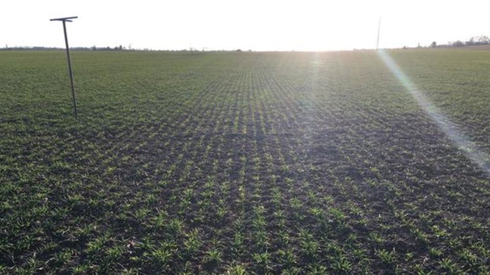 Travaux tardifs et surveillance des cultures