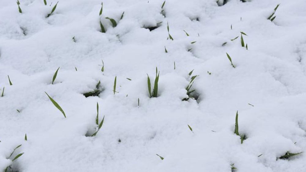 De la neige à basse altitude