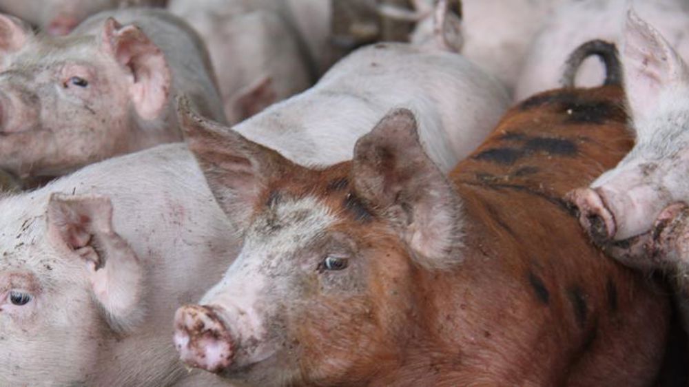 Les prix des produits agricoles en légère baisse