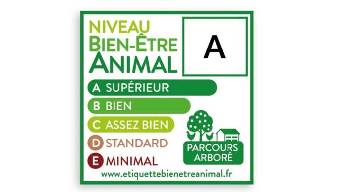 Adopt animals carrefour sales
