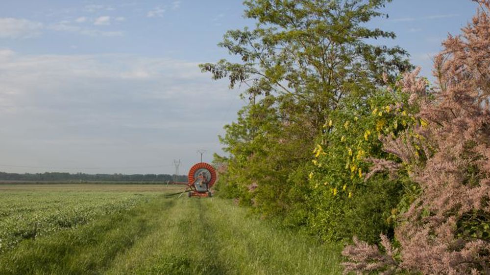 La Cour des comptes craint une transition compliquée