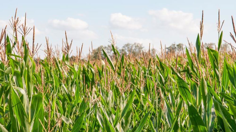 Le dispositif de certification 2020 à rendre avant le 15 mai