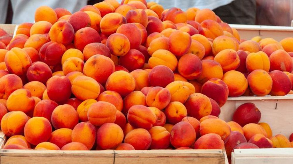 Condamnée à verser plus de six millions d’euros à la MSA