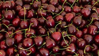 Les cerises traitées au diméthoate toujours interdites en France Les cerises traitées au diméthoate toujours interdites en France