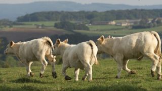 Fin de l’aide au « maintien » en Bourgogne-Franche-Comté Fin de l’aide au « maintien » en Bourgogne-Franche-Comté