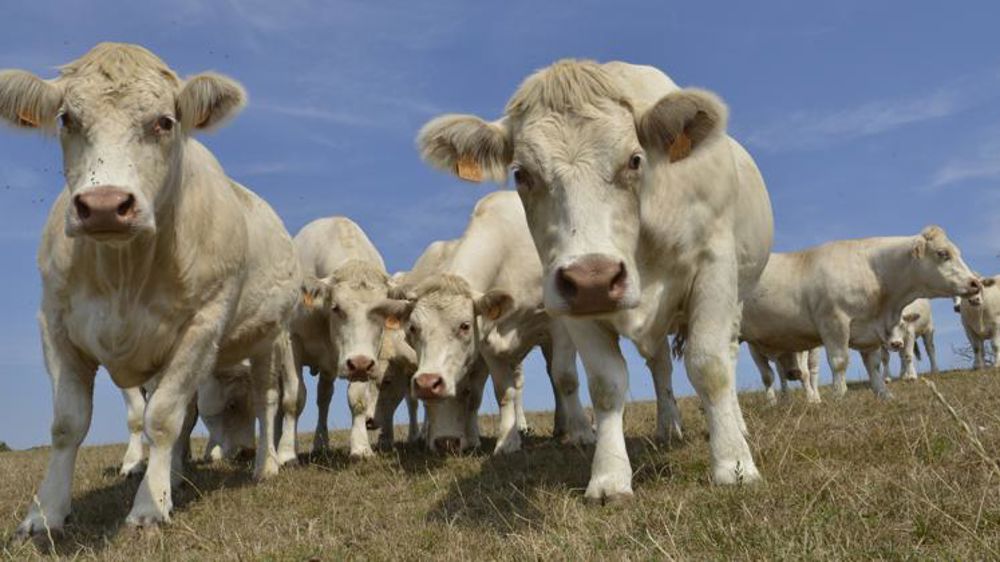 Le premier contrat de vente de carbone est signé