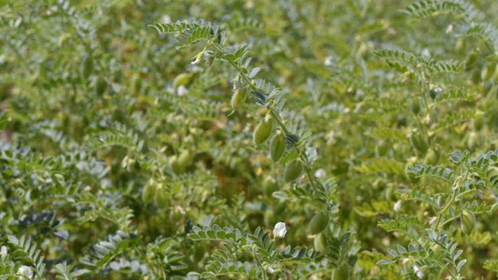 Les sénateurs définissent une transition durable