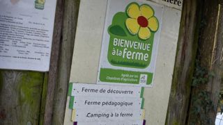 Renforcer le lien entre consommateurs et producteurs Renforcer le lien entre consommateurs et producteurs