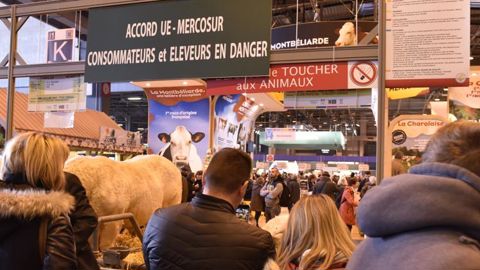 L’accord commercial avec le Mercosur en mauvaise posture L’accord commercial avec le Mercosur en mauvaise posture