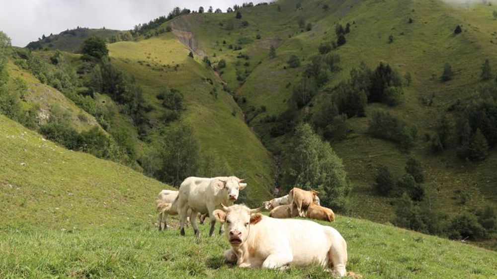 Le pastoralisme à l’horizon 2035