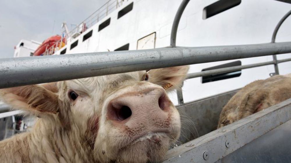 Tir groupé contre le transport à longue distance