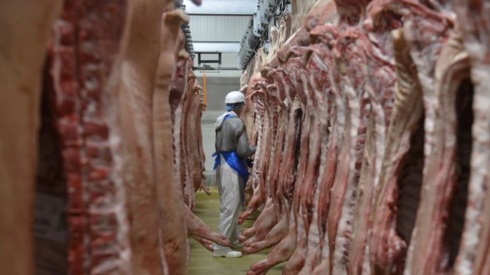 « Le prix du porc et des pièces restera très élevé en 2020 » « Le prix du porc et des pièces restera très élevé en 2020 »