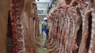 « Le prix du porc et des pièces restera très élevé en 2020 » « Le prix du porc et des pièces restera très élevé en 2020 »