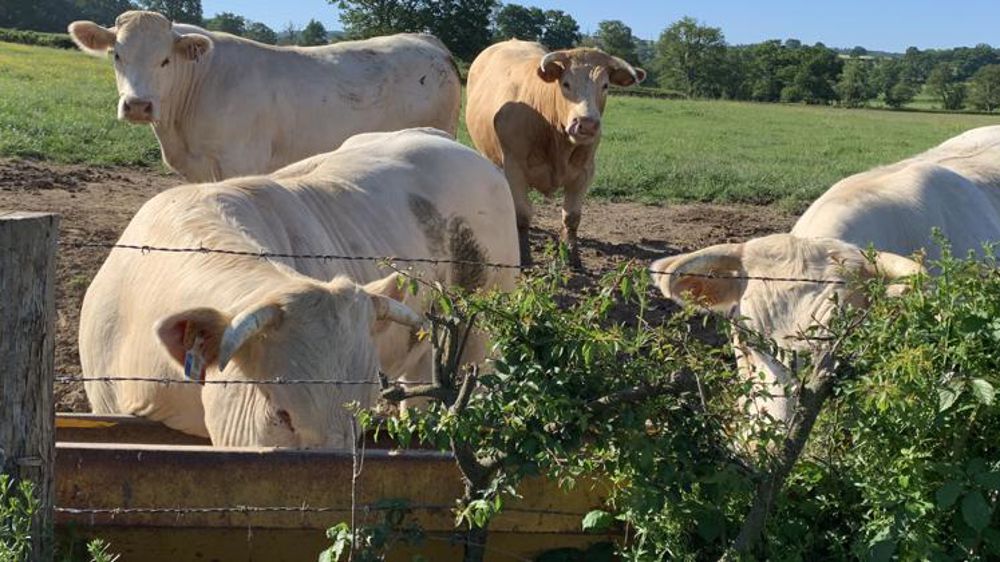 Comment les pays ont-ils soutenu le secteur agricole ?