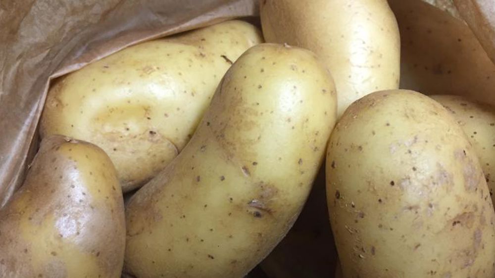 Des surfaces de pommes de terre « trop importantes » en 2020