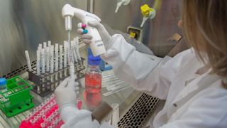 Non, l’épidémie humaine de grippe porcine n’est pas à notre porte Non, l’épidémie humaine de grippe porcine n’est pas à notre porte