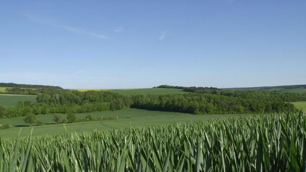 La pandémie affecte en cascade les marchés agricoles