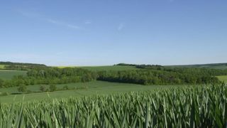 La pandémie affecte en cascade les marchés agricoles La pandémie affecte en cascade les marchés agricoles