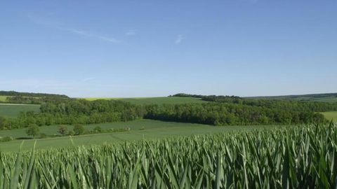 La pandémie affecte en cascade les marchés agricoles La pandémie affecte en cascade les marchés agricoles