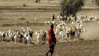 8,9 % de la population mondiale souffre de la faim 8,9 % de la population mondiale souffre de la faim