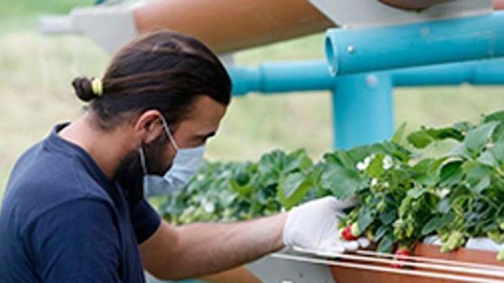 La Commission se penche sur les travailleurs saisonniers