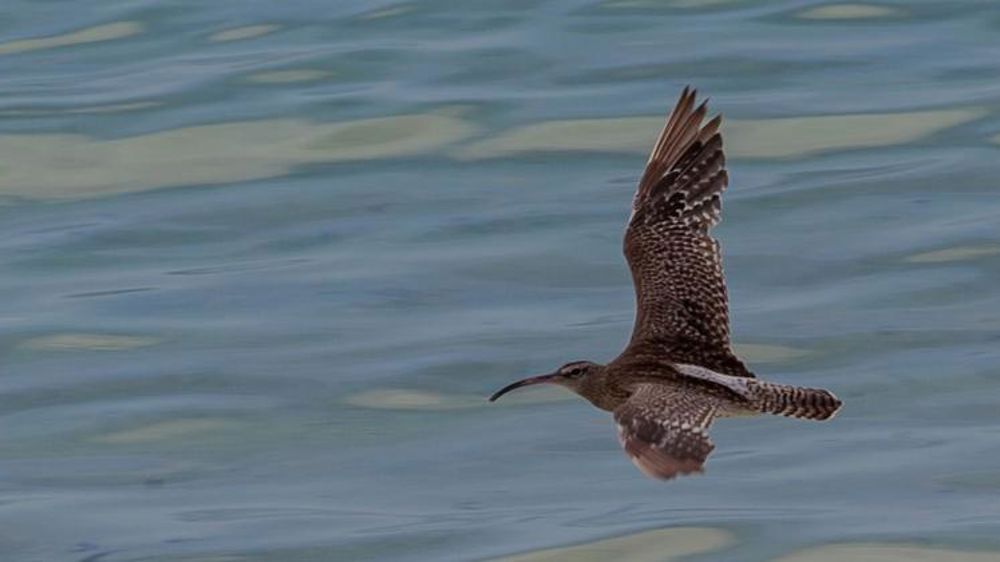 Deux chasses suspendues et une autre menacée