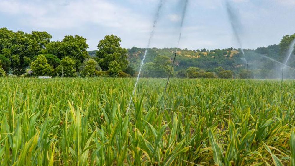 L’irrigation, un « pare-feu naturel »