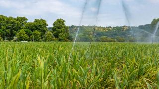 L’irrigation, un « pare-feu naturel » L’irrigation, un « pare-feu naturel »