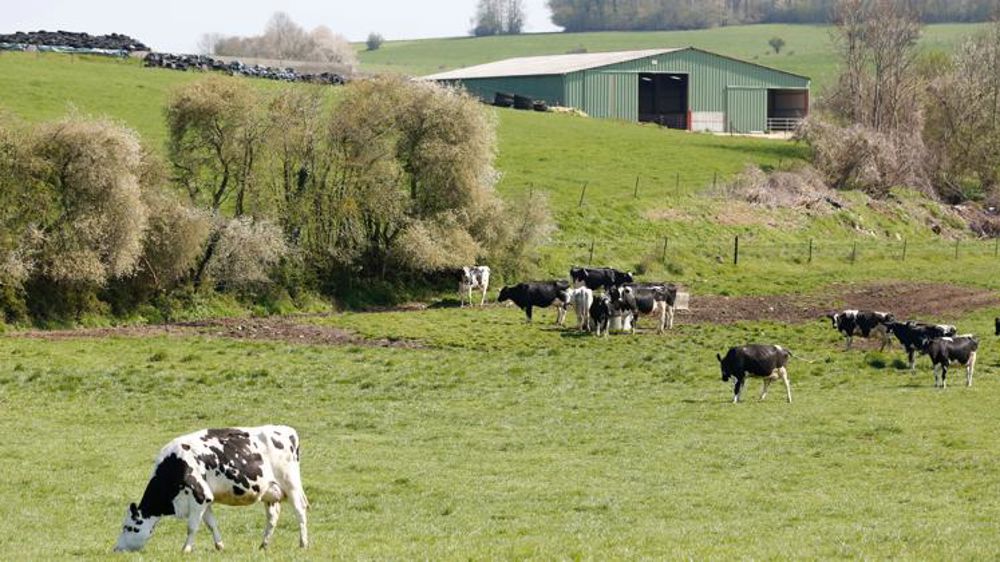 « Seules face aux industriels » laitiers