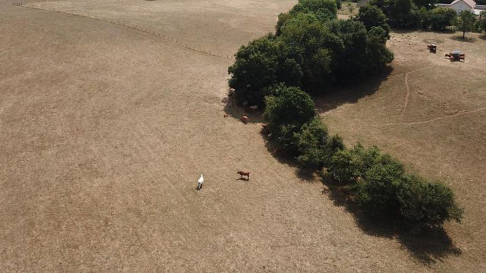 Des aides d’urgence avant l’espoir de solutions pérennes